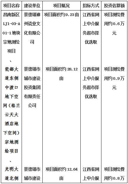 景德鎮(zhèn)市昌南新區(qū)LJ1-03-A01-1地塊、瓷都大道東側中渡口地下空間（格蘭云天大酒店地下空間）、光明大道北側利民路西側地下空間（青少年宮地下空間）、規(guī)劃二路北側地下空間地塊二（加速基地地下空間）、規(guī)劃二路北側地下空間地塊一（加速基地地下空間）、景德大道南側天寶橋西側地塊、景興大道東側如意路北側地下空間(社會公共服務