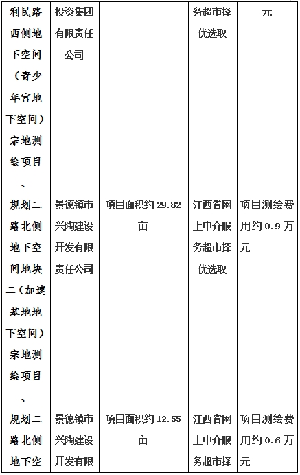景德鎮(zhèn)市昌南新區(qū)LJ1-03-A01-1地塊、瓷都大道東側中渡口地下空間（格蘭云天大酒店地下空間）、光明大道北側利民路西側地下空間（青少年宮地下空間）、規(guī)劃二路北側地下空間地塊二（加速基地地下空間）、規(guī)劃二路北側地下空間地塊一（加速基地地下空間）、景德大道南側天寶橋西側地塊、景興大道東側如意路北側地下空間(社會公共服務