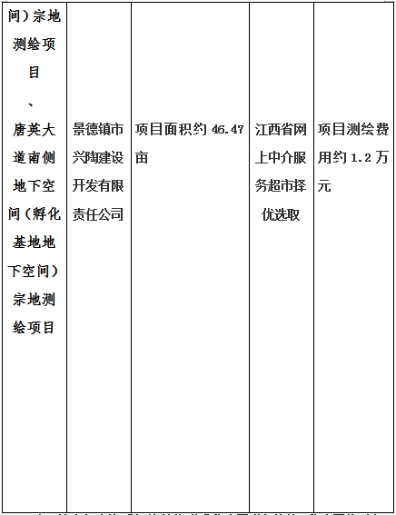景德鎮(zhèn)市昌南新區(qū)LJ1-03-A01-1地塊、瓷都大道東側中渡口地下空間（格蘭云天大酒店地下空間）、光明大道北側利民路西側地下空間（青少年宮地下空間）、規(guī)劃二路北側地下空間地塊二（加速基地地下空間）、規(guī)劃二路北側地下空間地塊一（加速基地地下空間）、景德大道南側天寶橋西側地塊、景興大道東側如意路北側地下空間(社會公共服務