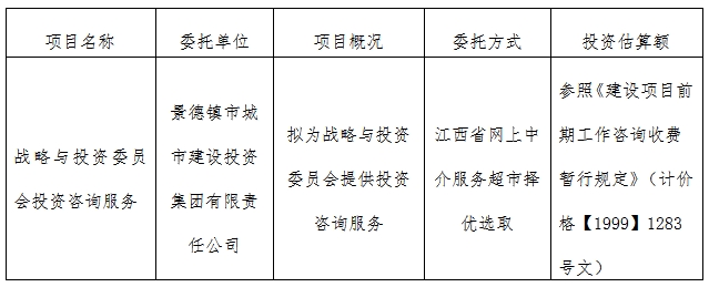 戰(zhàn)略與投資委員會投資咨詢服務(wù)計劃公告　　
